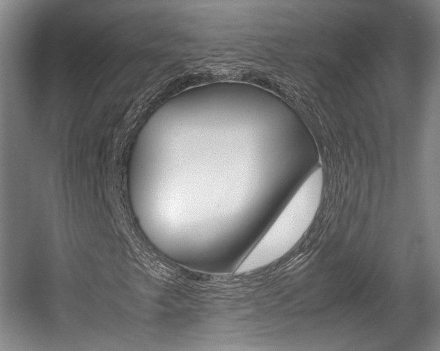 X0000057561249200509160801