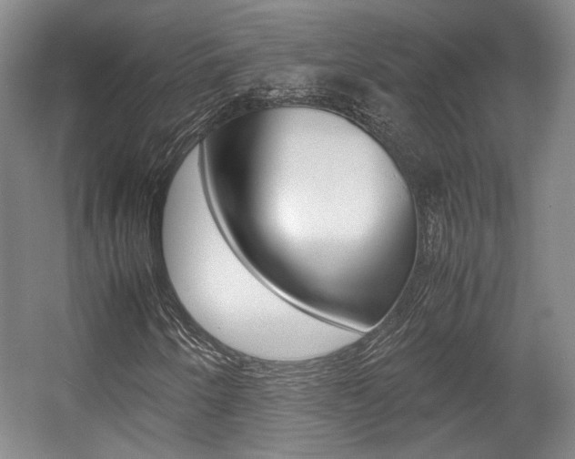 X0000057561250200509160801