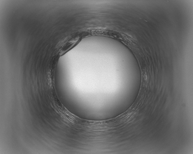 X0000057561252200509160801