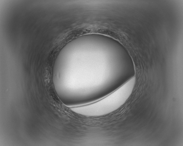 X0000057561253200509160801