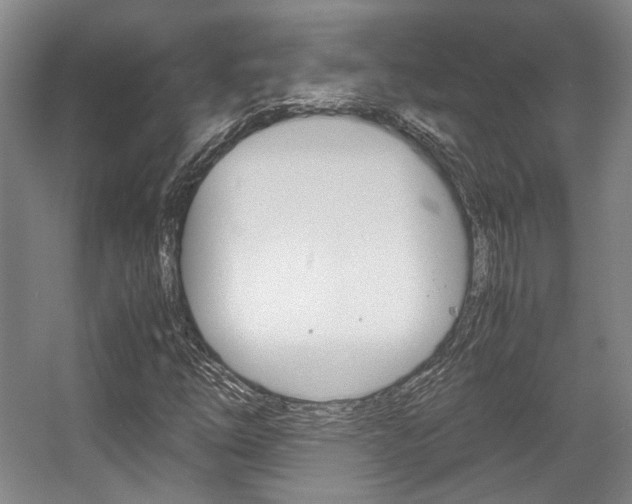 X0000057561254200509160801