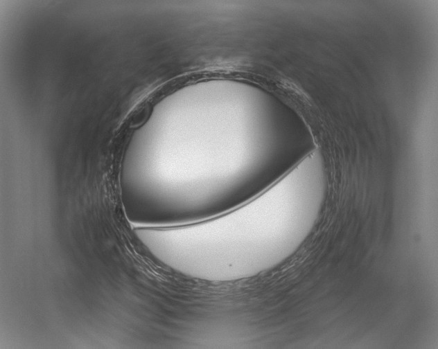 X0000057561256200509160801
