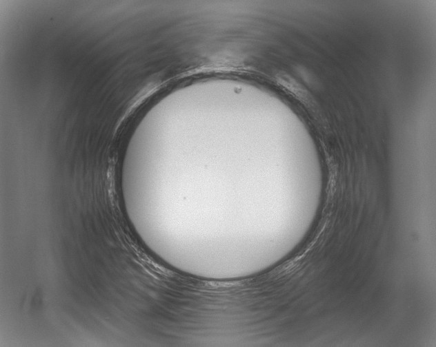 X0000057561258200509160801