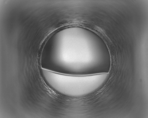 X0000057561260200509160801