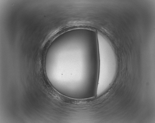 X0000057561261200509160801