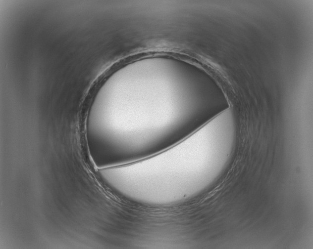 X0000057561264200509160801