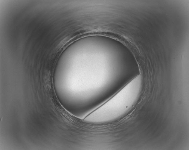 X0000057561265200509160801