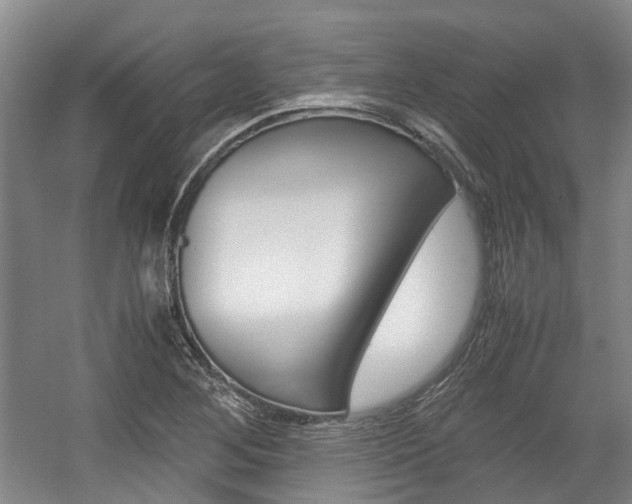 X0000057561268200509160801