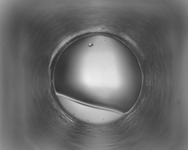 X0000057561270200509160801