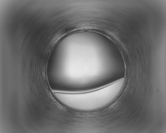 X0000057561273200509160801