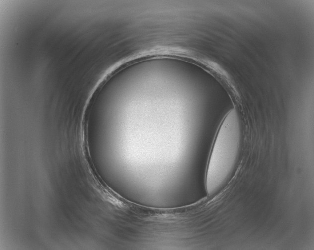 X0000057561280200509160801