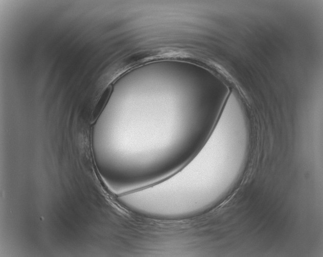X0000057561281200509160801