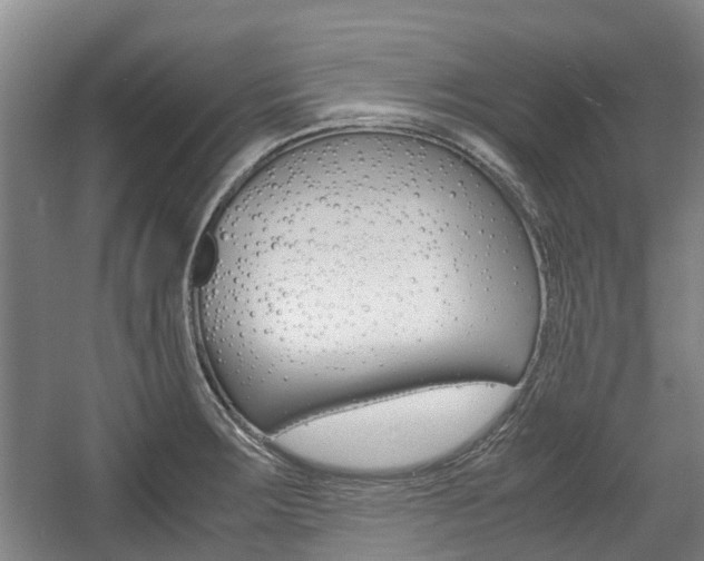 X0000057561283200509160801