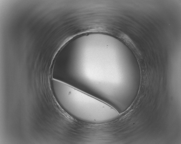 X0000057561284200509160801