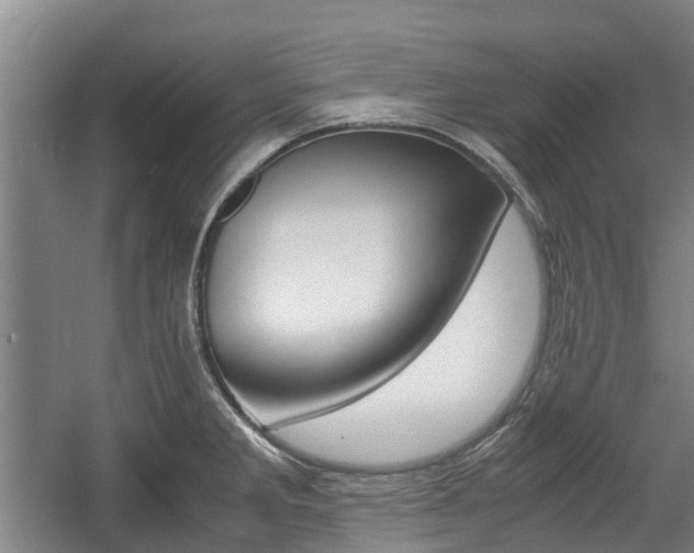 X0000057561285200509160801