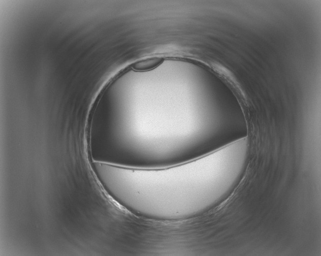 X0000057561288200509160800