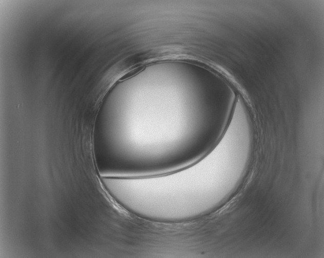 X0000057561289200509160800