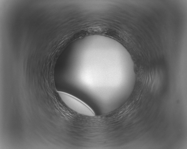 X0000057561297200509160800
