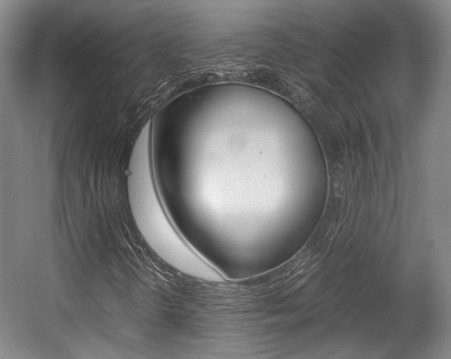 X0000057561298200509160800