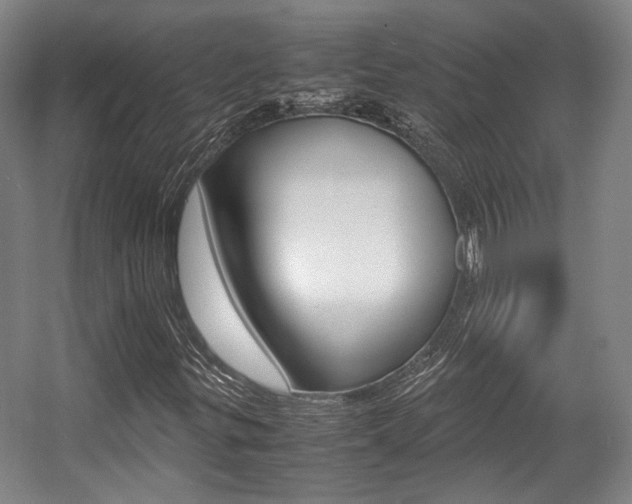 X0000057561299200509160800