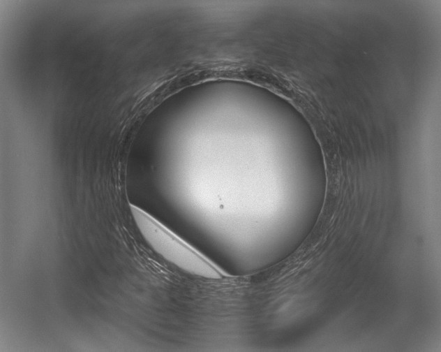 X0000057561301200509160800