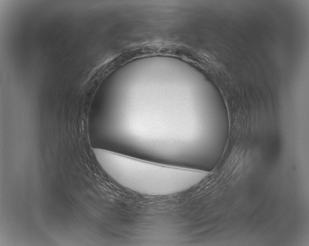 X0000057561302200509160800