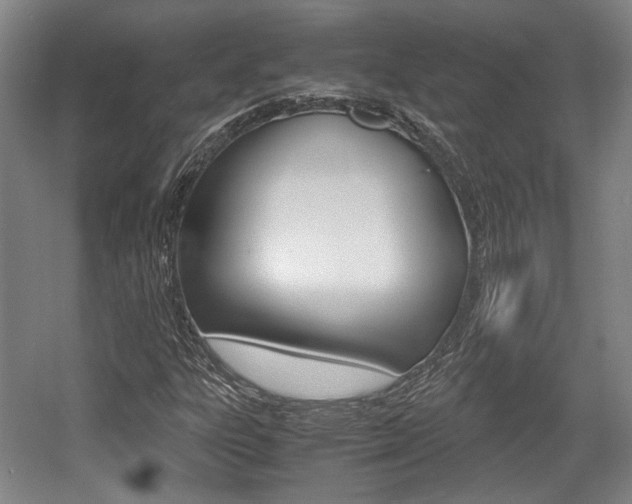 X0000057561303200509160800