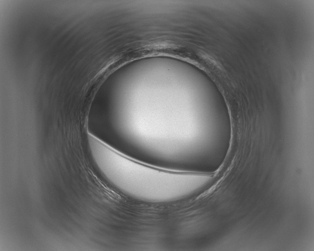 X0000057561305200509160800