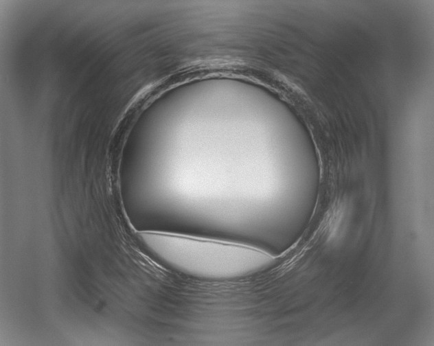 X0000057561306200509160800