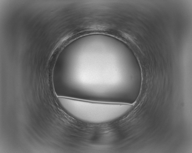 X0000057561307200509160800