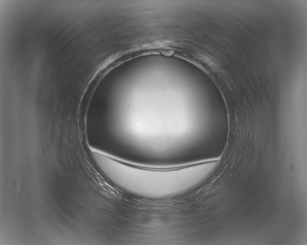 X0000057561308200509160800
