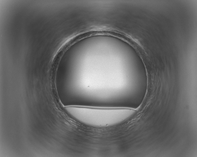 X0000057561311200509160800