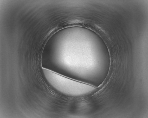 X0000057561313200509160800