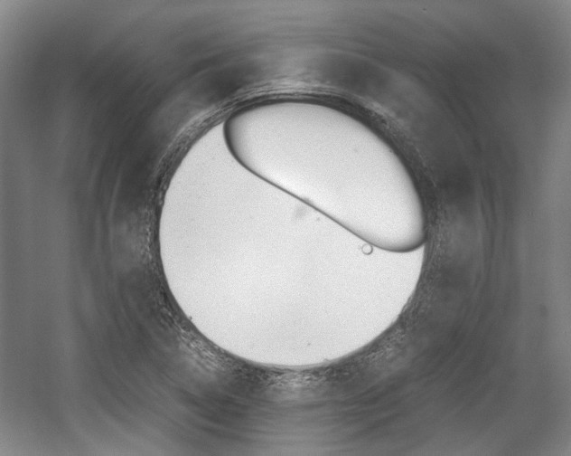 X0000057561314200509160800