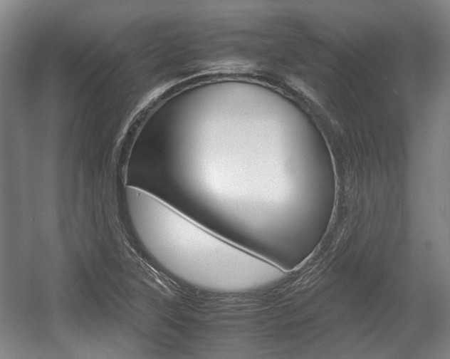 X0000057561315200509160800