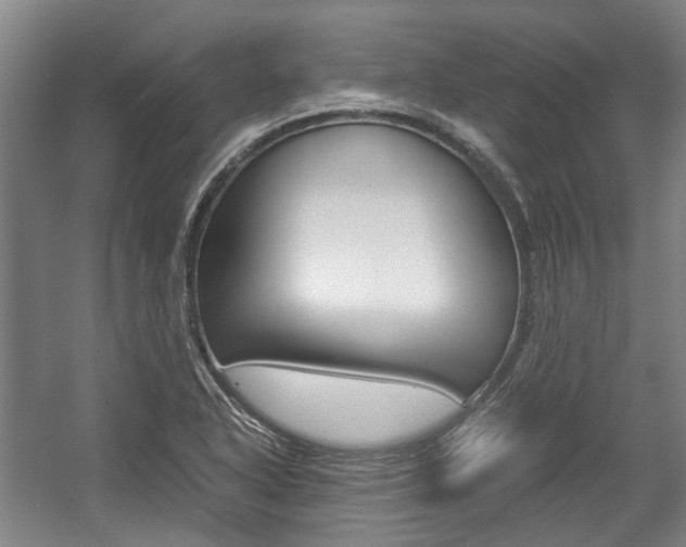 X0000057561318200509160800