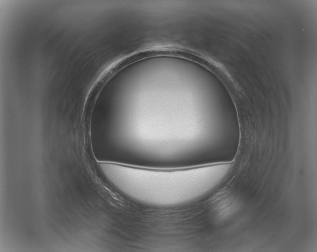 X0000057561319200509160800