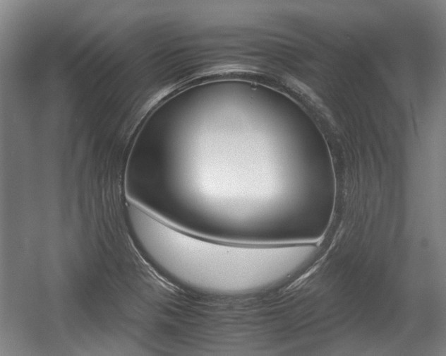 X0000057561321200509160800
