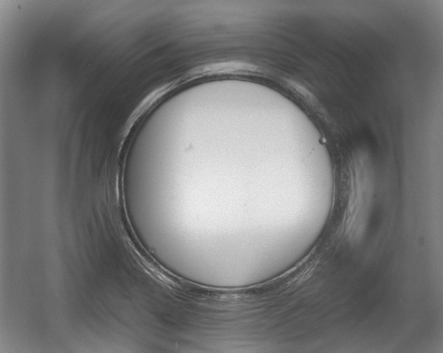 X0000057561322200509160800