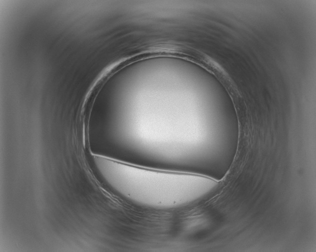 X0000057561323200509160800