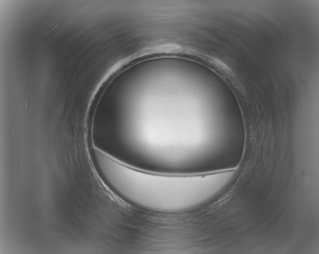 X0000057561326200509160800