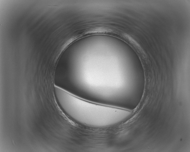 X0000057561329200509160800