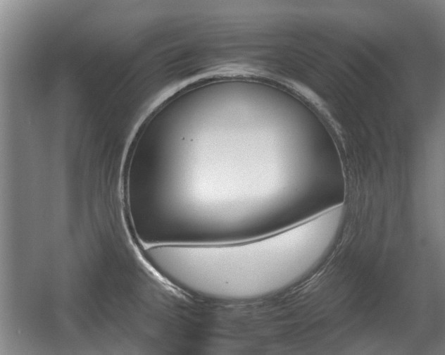 X0000057561335200509160800