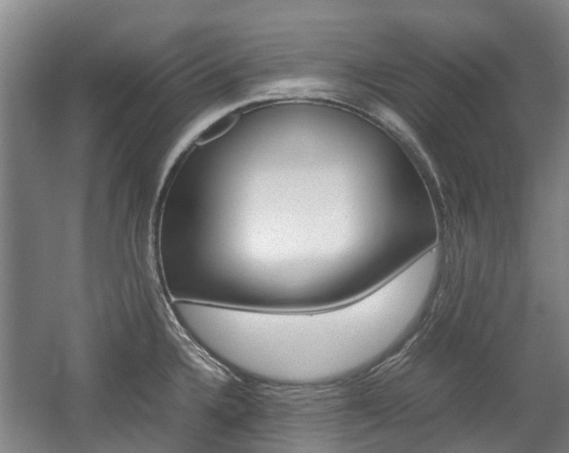 X0000057561336200509160800