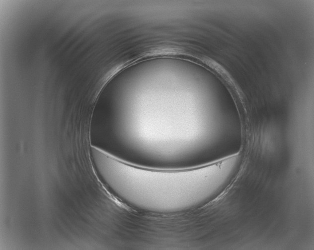 X0000057561337200509160800