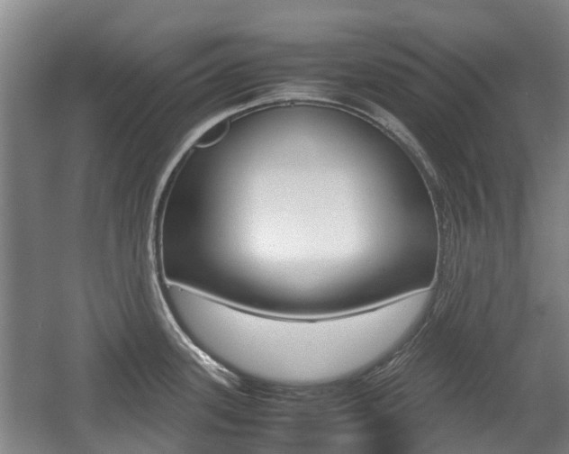 X0000057561339200509160800