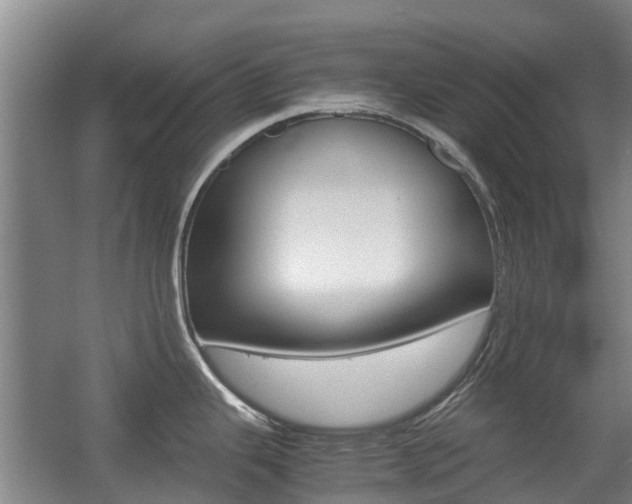 X0000057561343200509160800