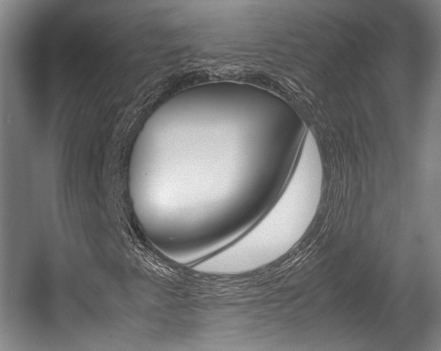 X0000057561345200509160759