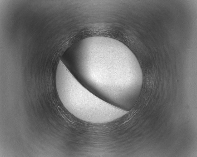 X0000057561346200509160759