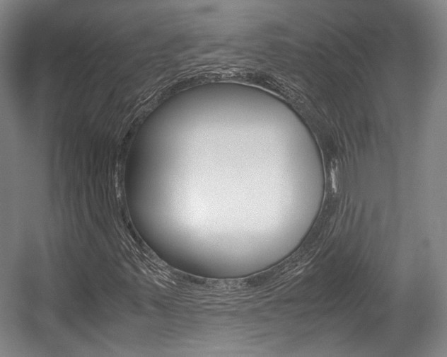 X0000057561347200509160759